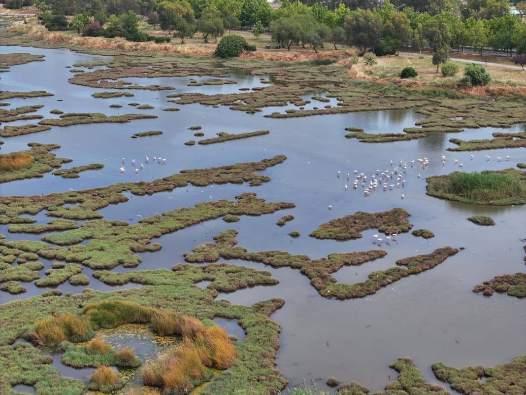 İzmir’de denizin rengi değişti! Görüntü ne ifade ediyor? - Resim: 12